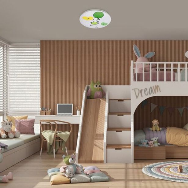 OTROŠKO SVETILO RABALUX FROGGO LED 24W IP20