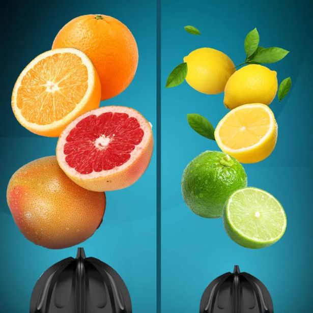 OŽEMALNIK CITRUSOV CECOTEC ESSENTIALVITA HYDEN 600