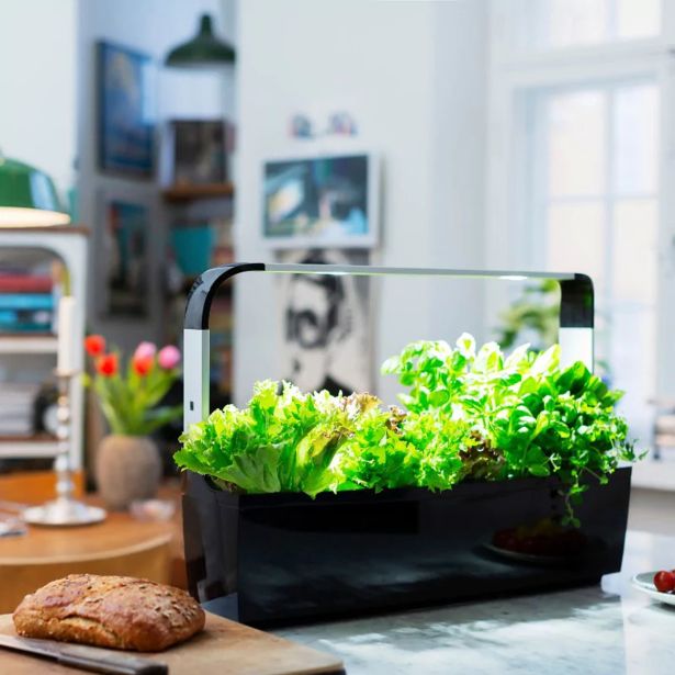 PAMETNI CVETLIČNI LONEC TREGREN T12 ČRN KUHINJSKI VRTIČEK