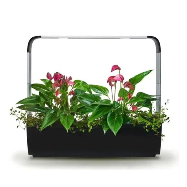 PAMETNI CVETLIČNI LONEC TREGREN T12 ČRN KUHINJSKI VRTIČEK