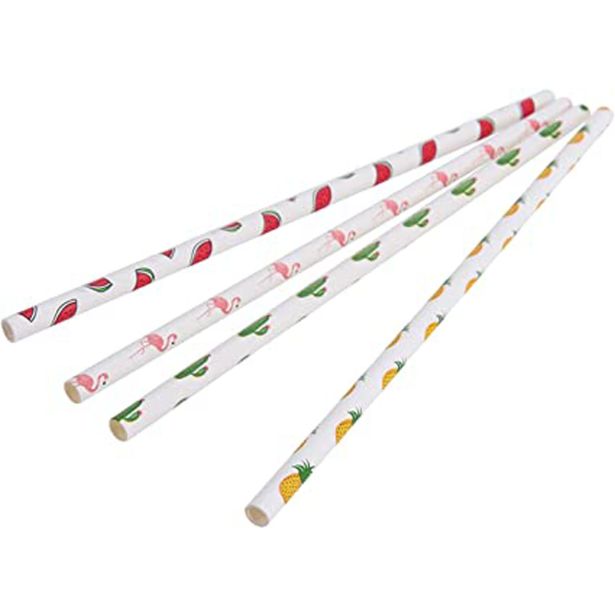 PIKNIK PROGRAM SLAMICE PAPIR