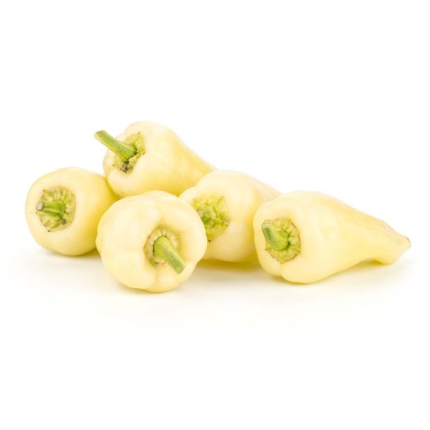 PLODOVKE L'ORTO FRUTTIFERO PAPRIKA BELA 1/1 GOCCIA DORO L10