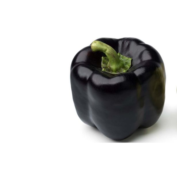 PLODOVKE L'ORTO FRUTTIFERO PAPRIKA ČRNA 1/1 TEQUILA F1 L10