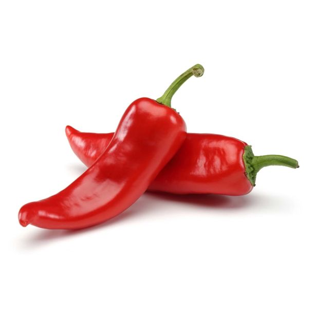 PLODOVKE L'ORTO FRUTTIFERO PAPRIKA RDEČA 1/1 WILLY F1 L10
