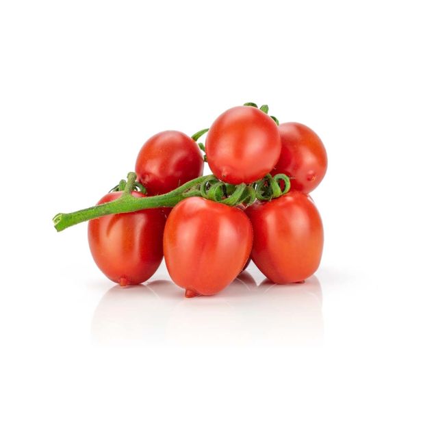 PLODOVKE L'ORTO FRUTTIFERO PARADIŽNIK 4/1 CADILLY F1 KULTIPAK