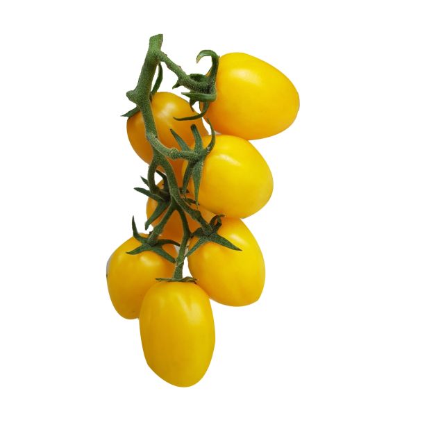 PLODOVKE L'ORTO FRUTTIFERO PARADIŽNIK ČEŠNJEV 1/1 RUMEN PIXEL L10