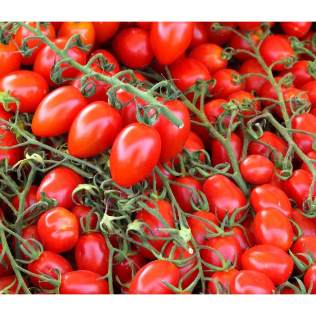 PLODOVKE L'ORTO FRUTTIFERO PARADIŽNIK DATLJEV 4/1 NIZEK KULTIPAK