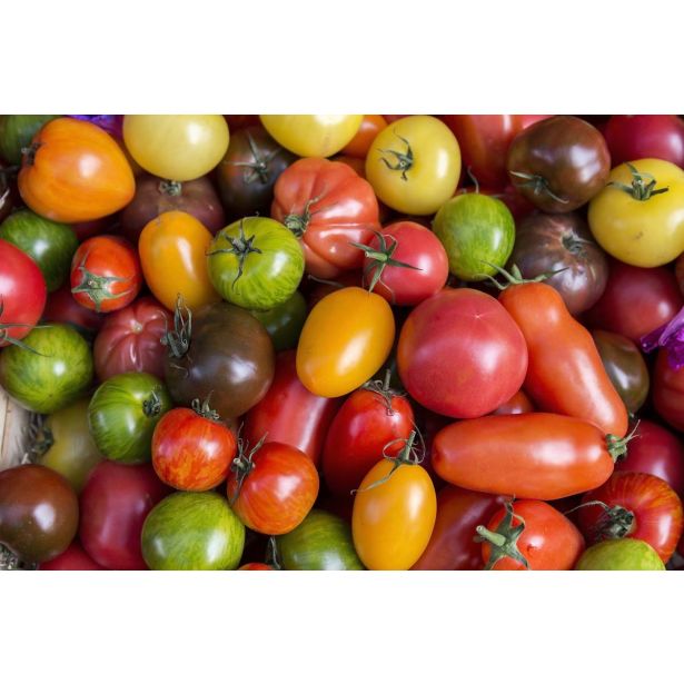 PLODOVKE L'ORTO FRUTTIFERO PARADIŽNIK MIKS 1/1 POMODORI ANTICHI L10