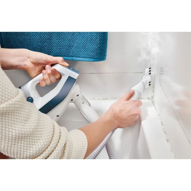 PARNI ČISTILNIK ROWENTA RY8561WH