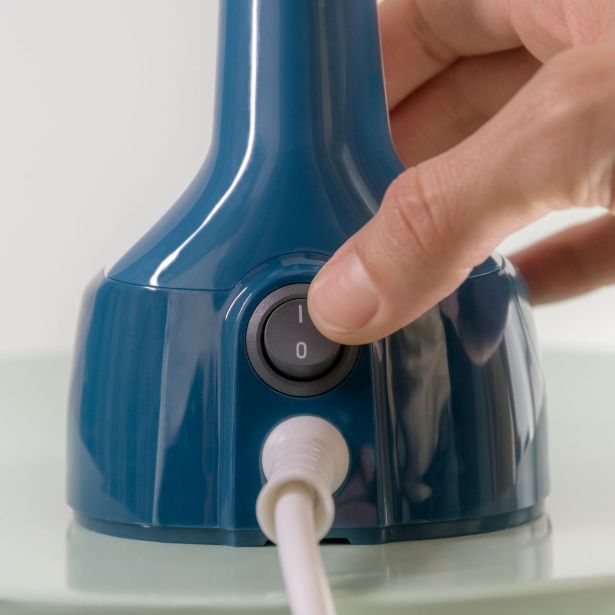 PARNI OSVEŽILEC TKANIN TEFAL DT7130E1