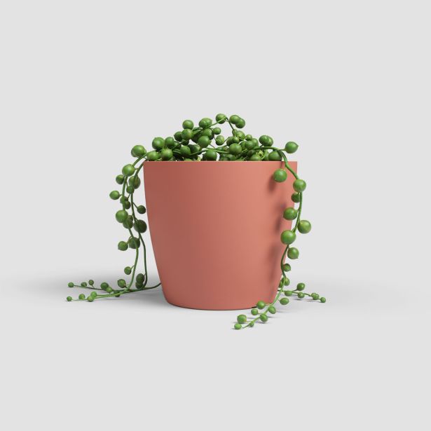 PE NOTRANJI LONEC ARTEVASI SAN REMO 14 CM ROZA