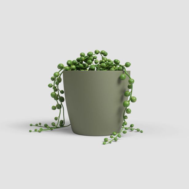 PE NOTRANJI LONEC ARTEVASI SAN REMO 14 CM ZELEN