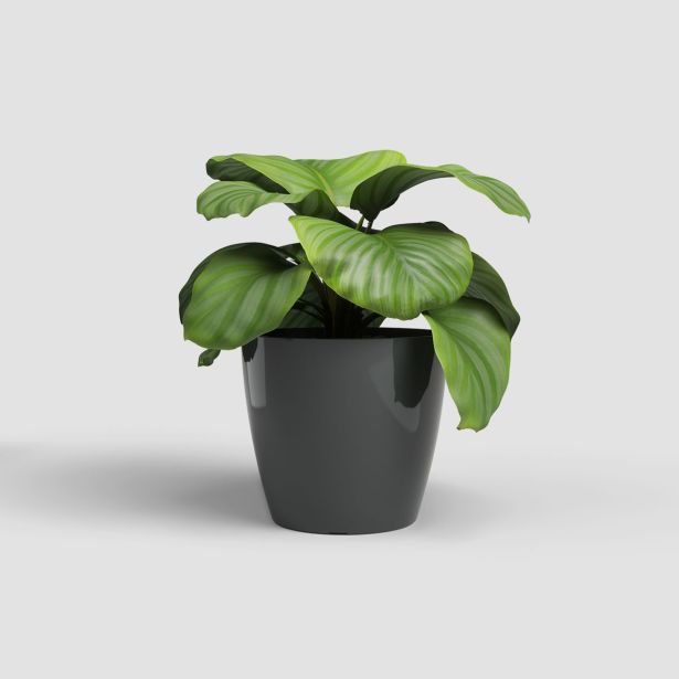 PE NOTRANJI LONEC ARTEVASI SAN REMO 30 CM ANTRACIT