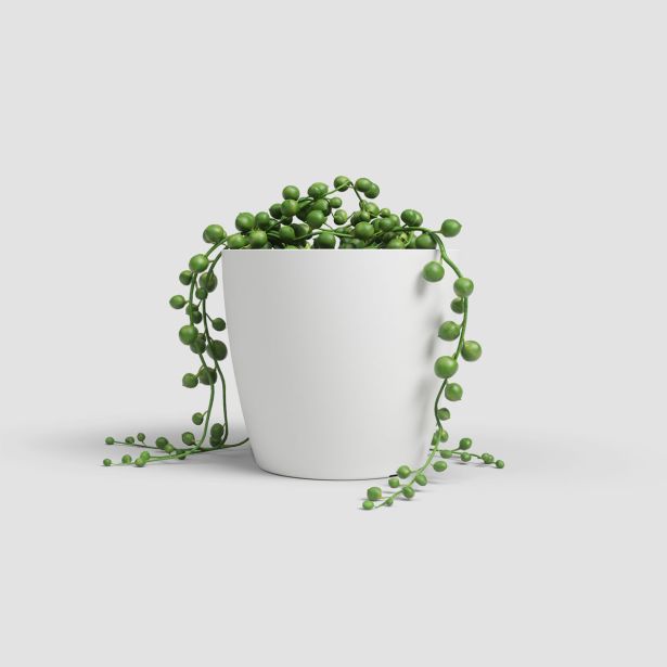 PE NOTRANJI LONEC ARTEVASI SAN REMO 9 CM BEL