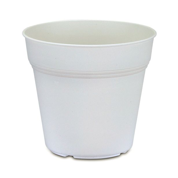 PE SADILNI LONEC KOSMAČ-KRUŠEC EKO 11 CM BEL