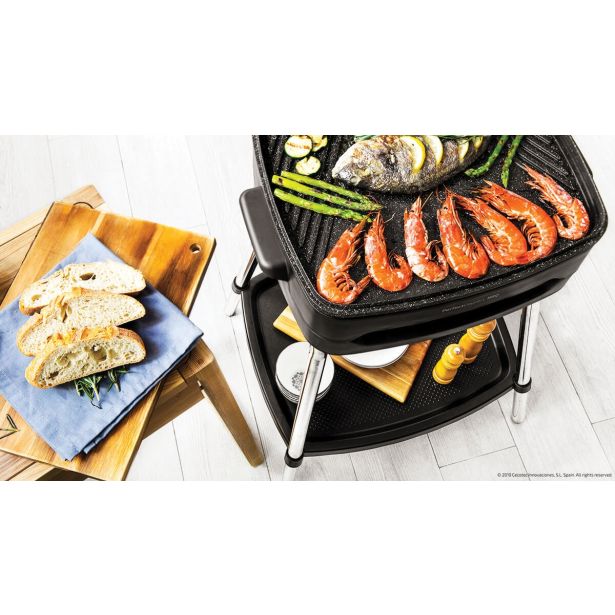 NAMIZNI ŽAR CECOTEC PERFECT COUNTRY BBQ S STOJALOM