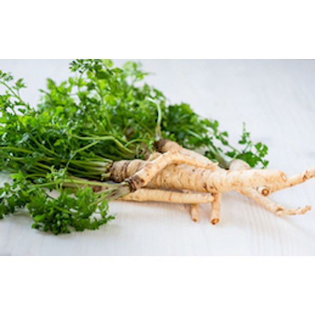 PETERŠILJ KORENAST L10 CM