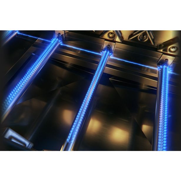 PLINSKI ŽAR NAPOLEON ROGUE R525PK-2-RC ČRNI POKROV