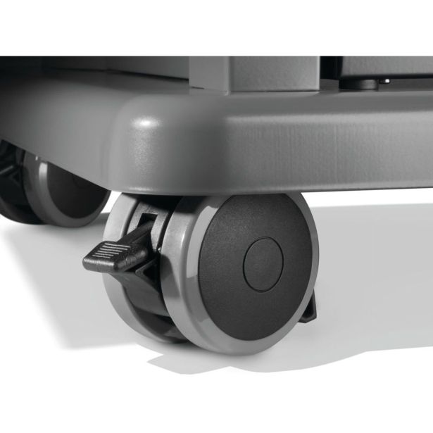 PLINSKI ŽAR NAPOLEON ROGUE R525PK-2-RC ČRNI POKROV