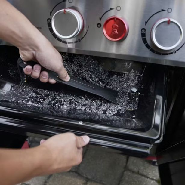 PLINSKI ŽAR WEBER GENESIS E-325