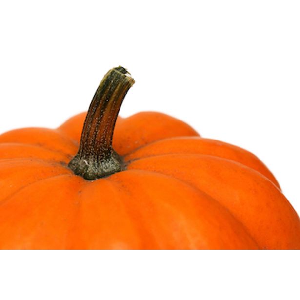 PLODOVKE BUČA 4 KOS