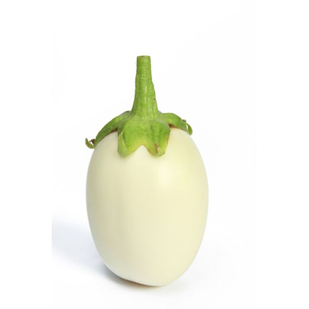 PLODOVKE JAJČEVEC L10 CM