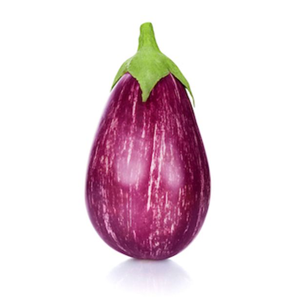 PLODOVKE JAJČEVEC L10 CM