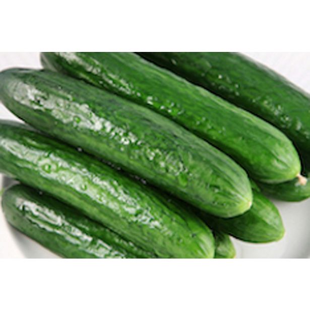 PLODOVKE KUMARE SOLATNE 6 KOS