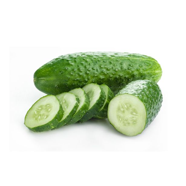 PLODOVKE L'ORTO FRUTTIFERO KUMARA CORINTO 4/1 DASHER F1 KULTIPAK