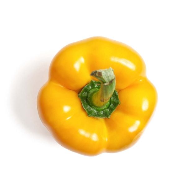 PLODOVKE L'ORTO FRUTTIFERO RUMENA PAPRIKA 4/1 QUADRATO CAMPOR F1 KULTIP