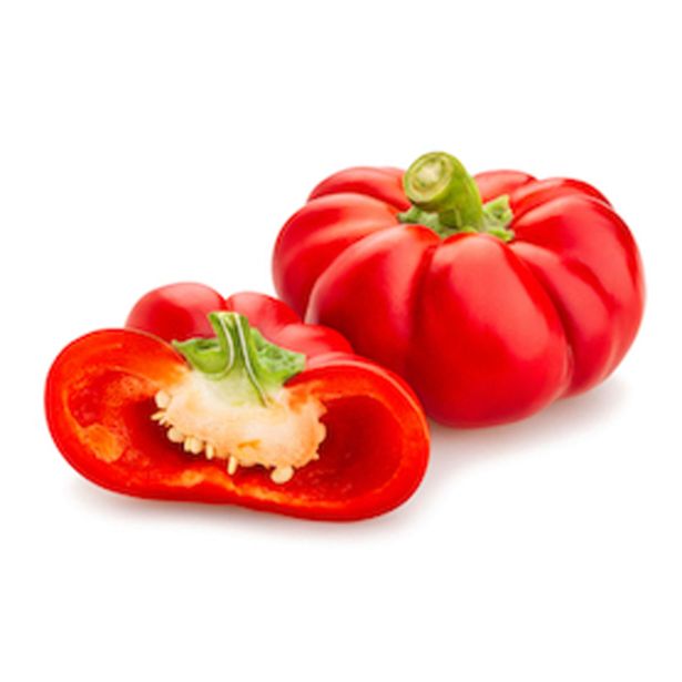 PLODOVKE PAPRIKA PARADIŽNIK L10 CM