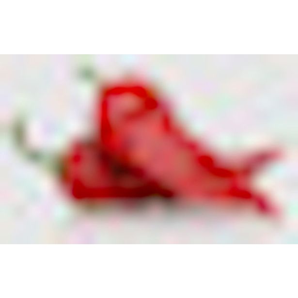 PLODOVKE PAPRIKA PODOLGOVATA 4 KOS