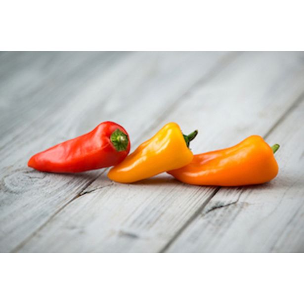 PLODOVKE PAPRIKA SNACK L10 CM