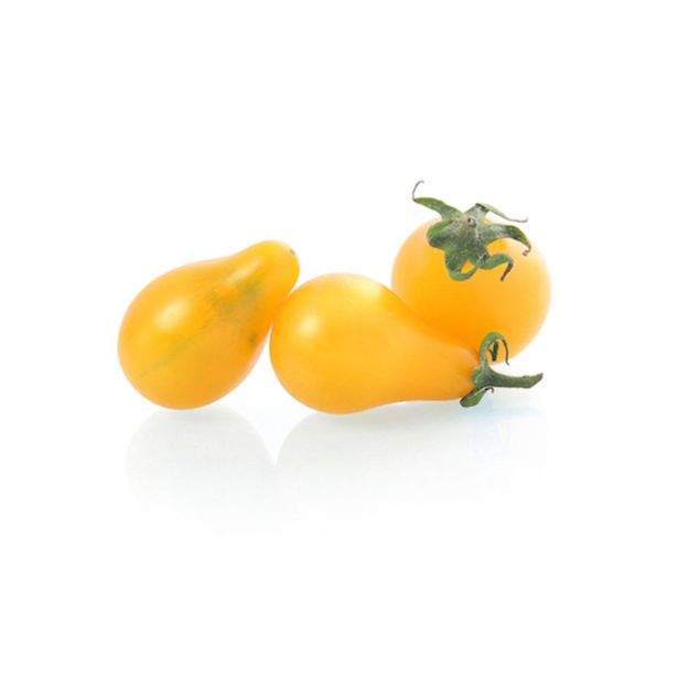 PLODOVKE PARADIŽNIK ČEŠ. HRUŠ. L10 CM