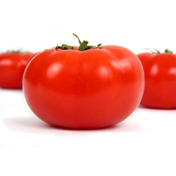 PLODOVKE PARADIŽNIK SRED. ZGODNJI 4 KOS