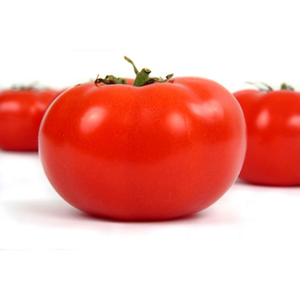 PLODOVKE PARADIŽNIK SRED. ZGODNJI L10 CM