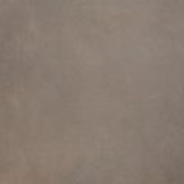 PLOŠČICA TAL. VIDEZ KAMNA FAP SUMMER 80 SCIARA SATIN R9 80X80 RT RJAVE