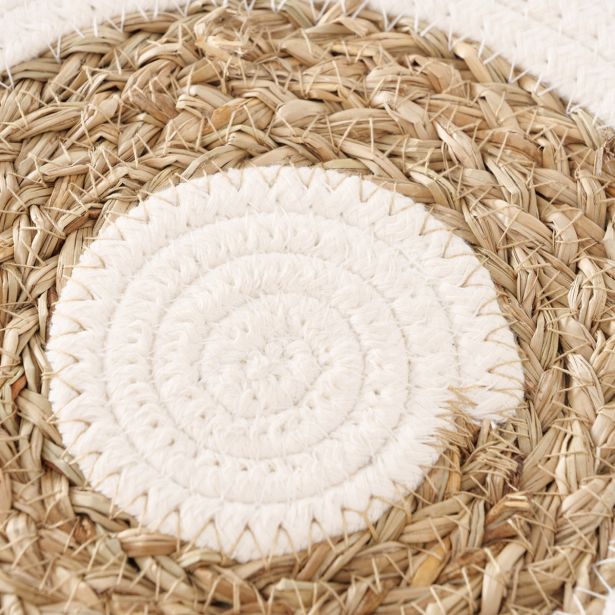 POGRINJEK BOLTZE DABBIE, OKROGEL, RJAVO-BEL