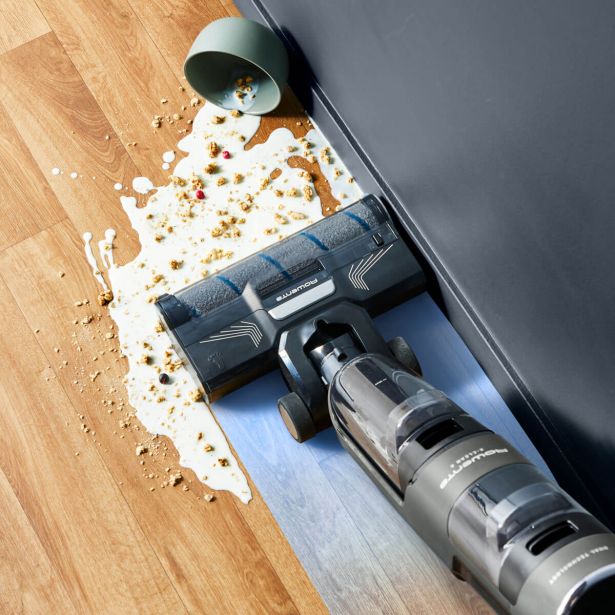 MOKRO-SUHI SESALNIK ROWENTA GZ5035WO 140LET