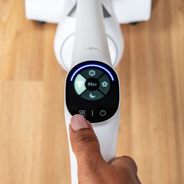 MOKRO-SUHI SESALNIK ROWENTA GZ7035WO