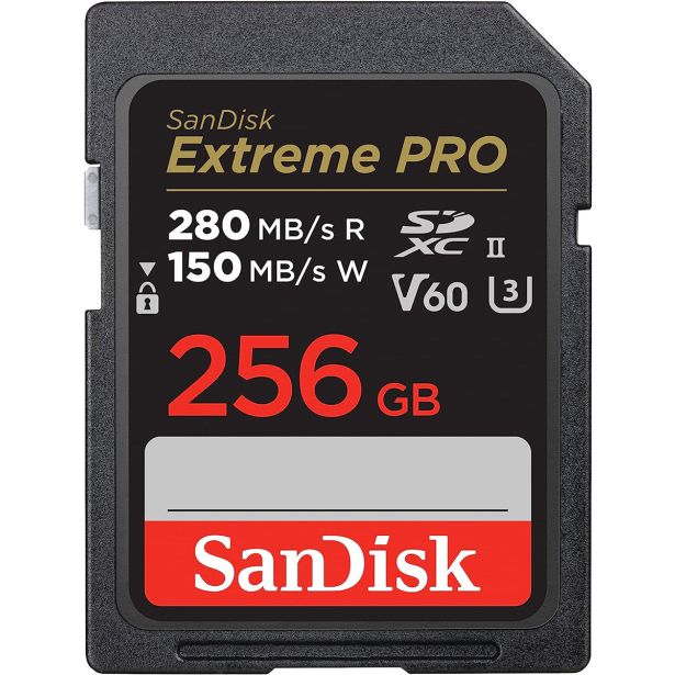 POMNILNIŠKA KARTICA SANDISK SAN EXTREME PRO 256GB