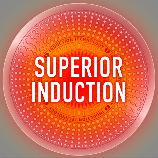 PONEV TEFAL ZA PALAČINKE 25 CM NATURAL FORCE