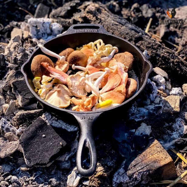 PONEV Z DOLGIM ROČAJEM VALHAL OUTDOOR VH25