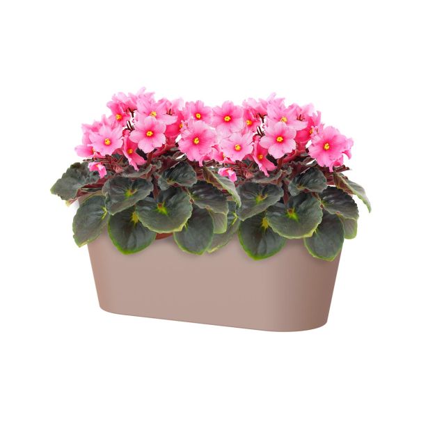 PE NOTRANJI LONEC PORTO PODOLGOVAT TAUPE 30CM