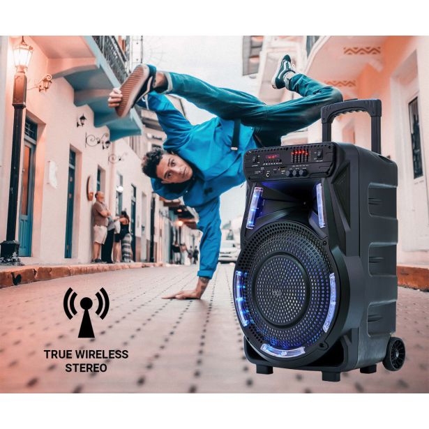 PRENOSNI KARAOKE ZVOČNIK MANTA SPK5033