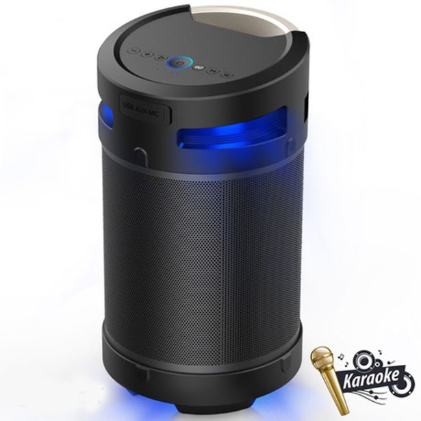 PRENOSNI KARAOKE ZVOČNIK MANTA SPK5120 ČRN