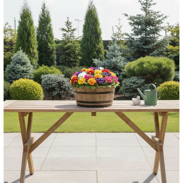 PRIMULA CAIRO MIX L10.5CM