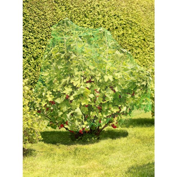 VRTNARSKA MREŽA WINDHAGER PROTI PTICAM 5 X 4 M