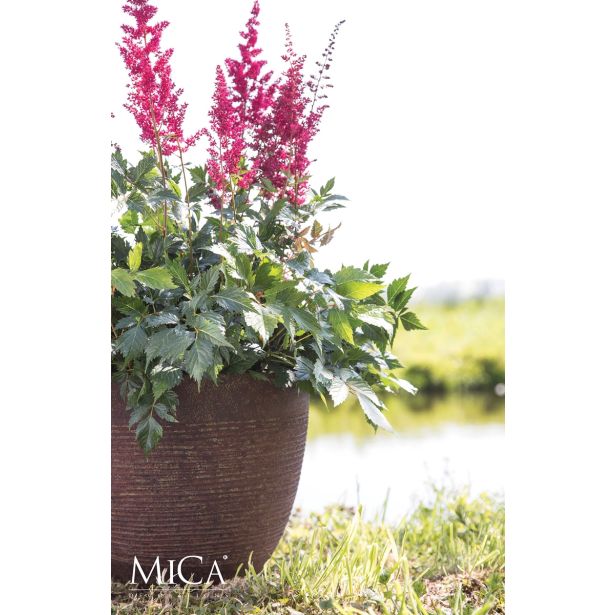 PE ZUNANJI LONEC MICA ECHO OKROGEL 3 MEŠANO V51XD56CM SORT 3