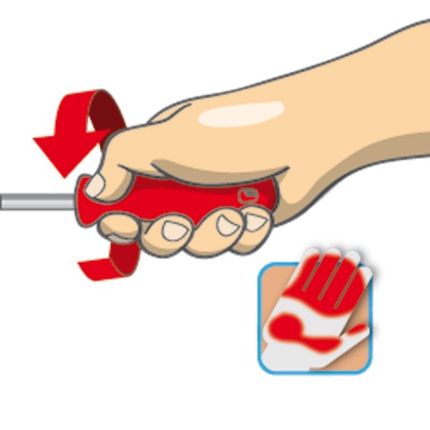 PZ KRIŽNI IZVIJAČ VDE UNIOR PZ 2 200/100 MM ART. 623VDE